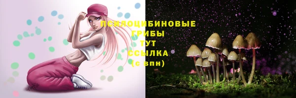 МДПВ Алзамай