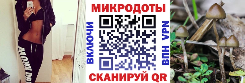 Псилоцибиновые грибы Psilocybine cubensis Карачаевск