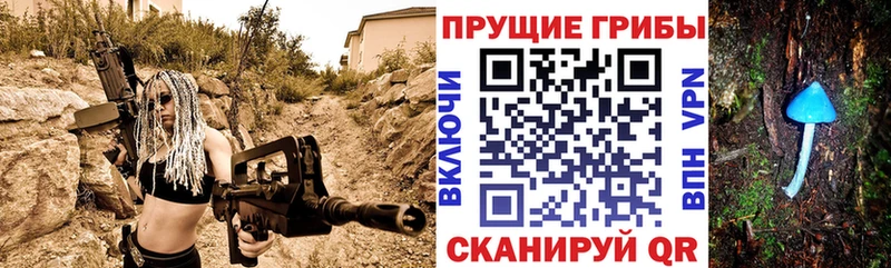 дарк нет клад  Карачаевск  Галлюциногенные грибы ЛСД  закладки 