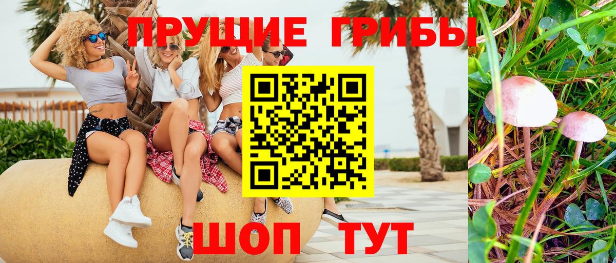 Псилоцибиновые грибы мухоморы Карачаевск