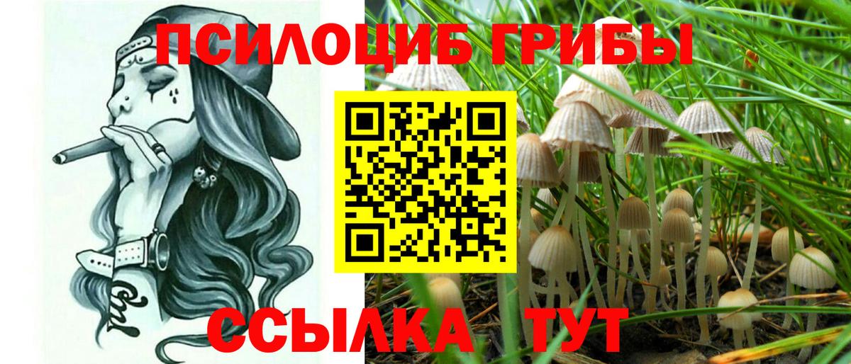 Псилоцибиновые грибы ЛСД  Вход с VPN  Карачаевск 